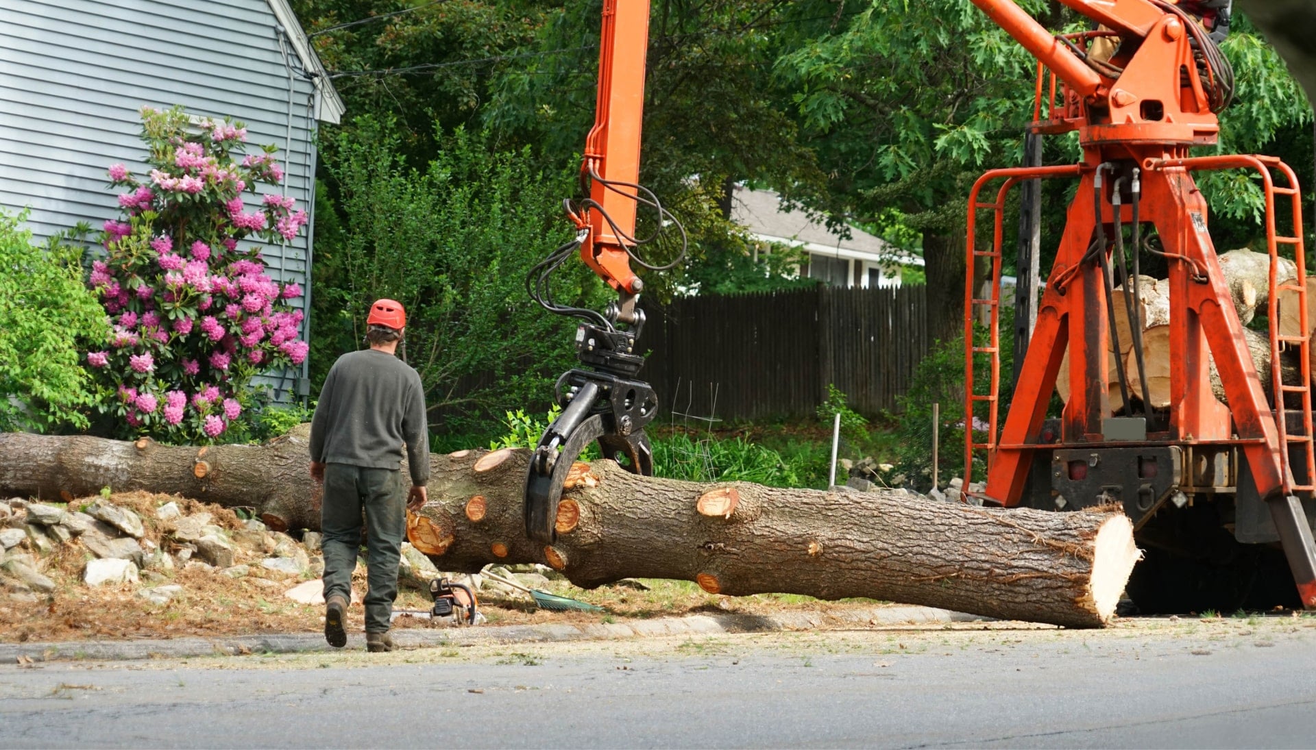 Local partner for Tree removal services in Goldsboro